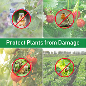 YNERHAI raised-bed cover protects delicate sprouts from pests and weather.