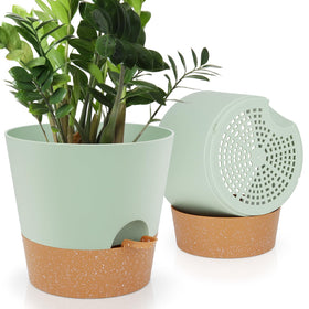 YNNICO 10-inch self-watering pot with saucer reservoir for indoor plants