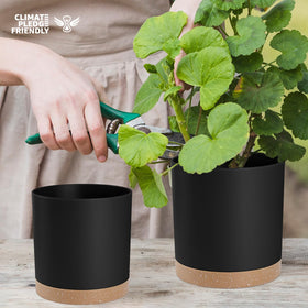 YNNICO 4-inch pot for small succulents and herbs, lightweight and convenient.