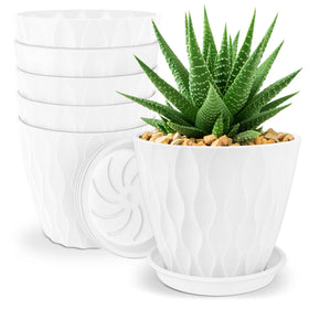 YNNICO 6-inch plant pot set in white for versatile indoor plants