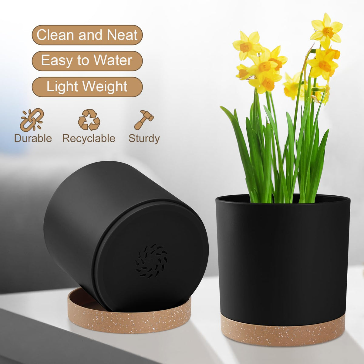 YNNICO 6-inch pot with drainage holes, helps prevent water buildup for healthy roots.