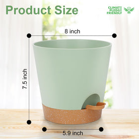 YNNICO 8-Inch planter showing drainage-holes for improved airflow and root health.