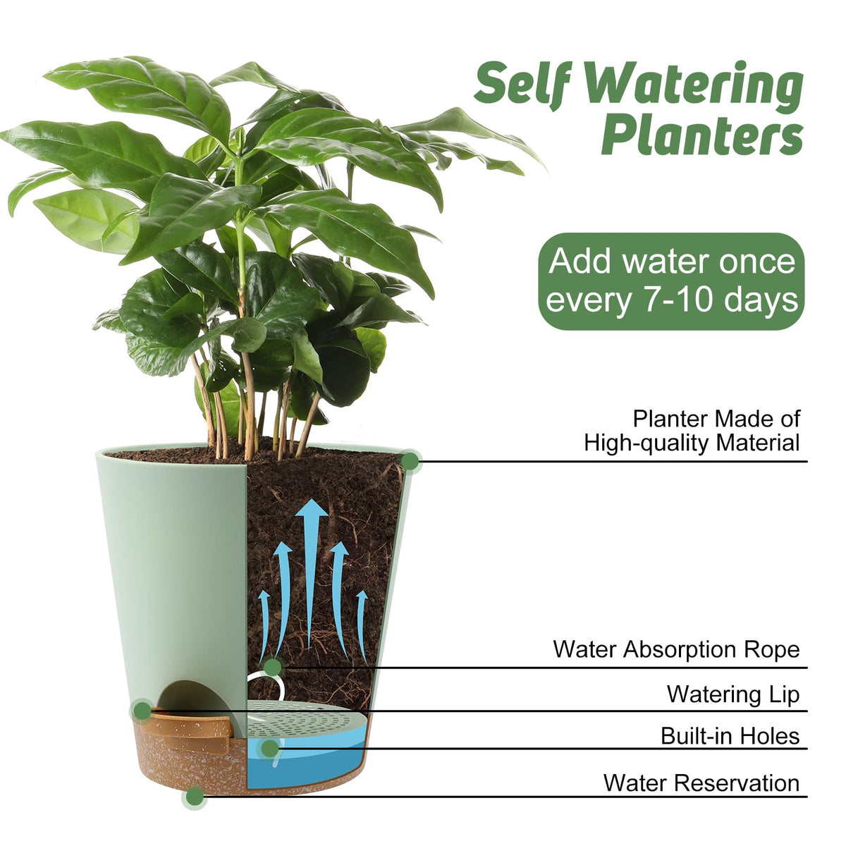 YNNICO 8-Inch planter suitable for indoor and sheltered outdoor spaces.