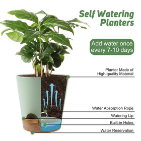 YNNICO 8-Inch planter suitable for indoor and sheltered outdoor spaces.