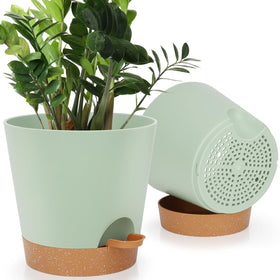 YNNICO 8-Inch self-watering planter with saucer-reservoir supports steady hydration for indoor greenery.