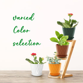 YNNICO colorful spring plant pots brighten any space.