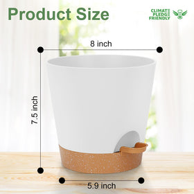 Durable recyclable plastic with thick 4mm walls provides sturdy planter strength.
