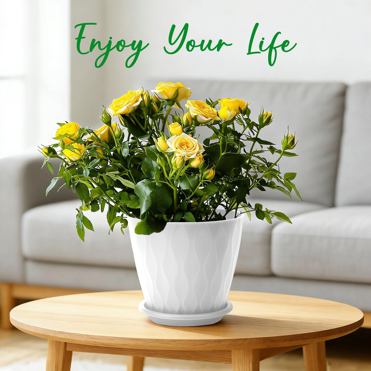 YNNICO indoor outdoor pots suit a 6-pack for spring plant displays