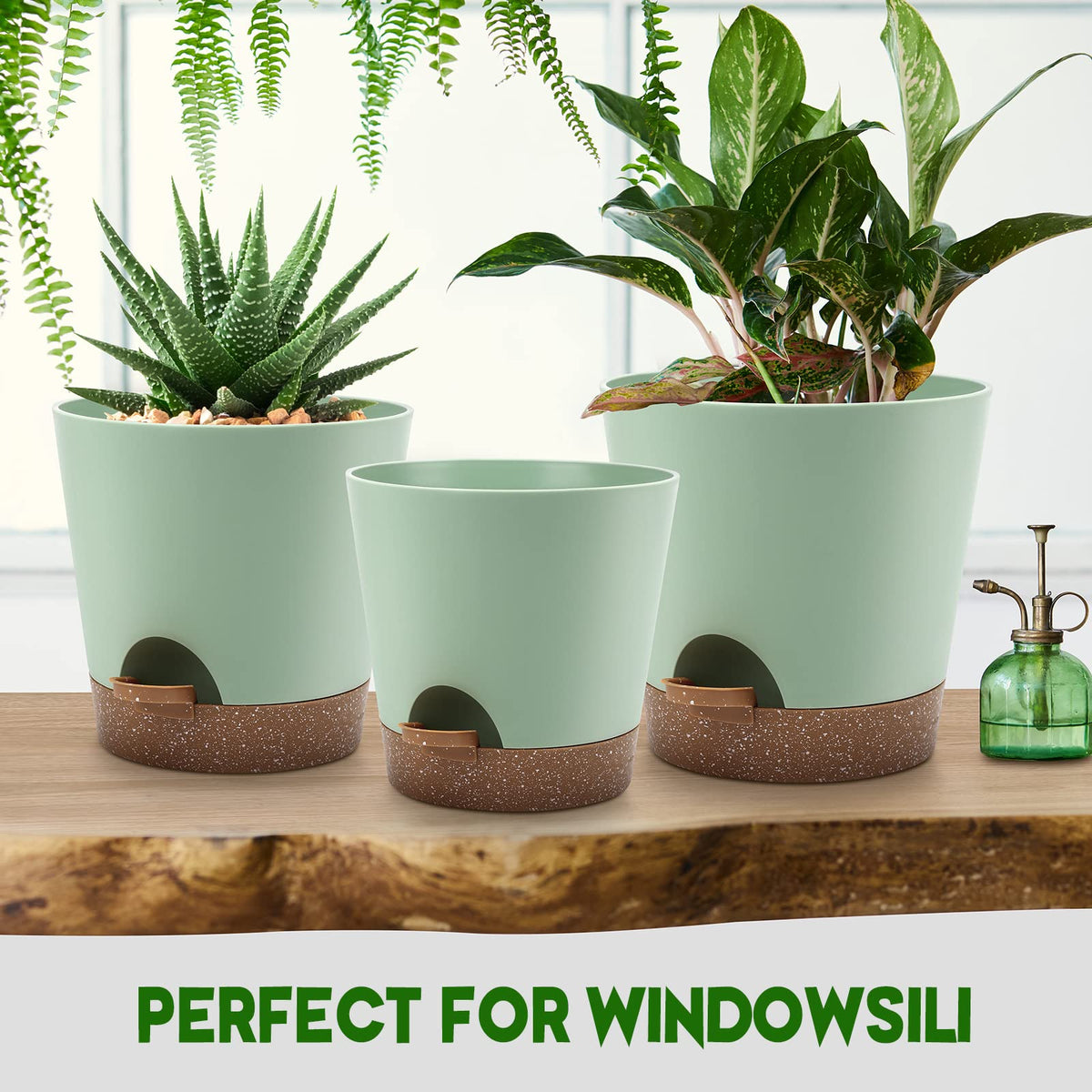 YNNICO spring-green finish enhances modern decor and plant displays
