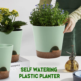 YNNICO set on an office desk showing compact, tidy plant arrangement