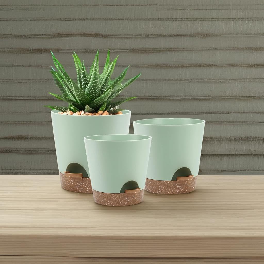 YNNICO planters with saucers to catch drips and protect surfaces
