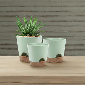 YNNICO planters with saucers to catch drips and protect surfaces