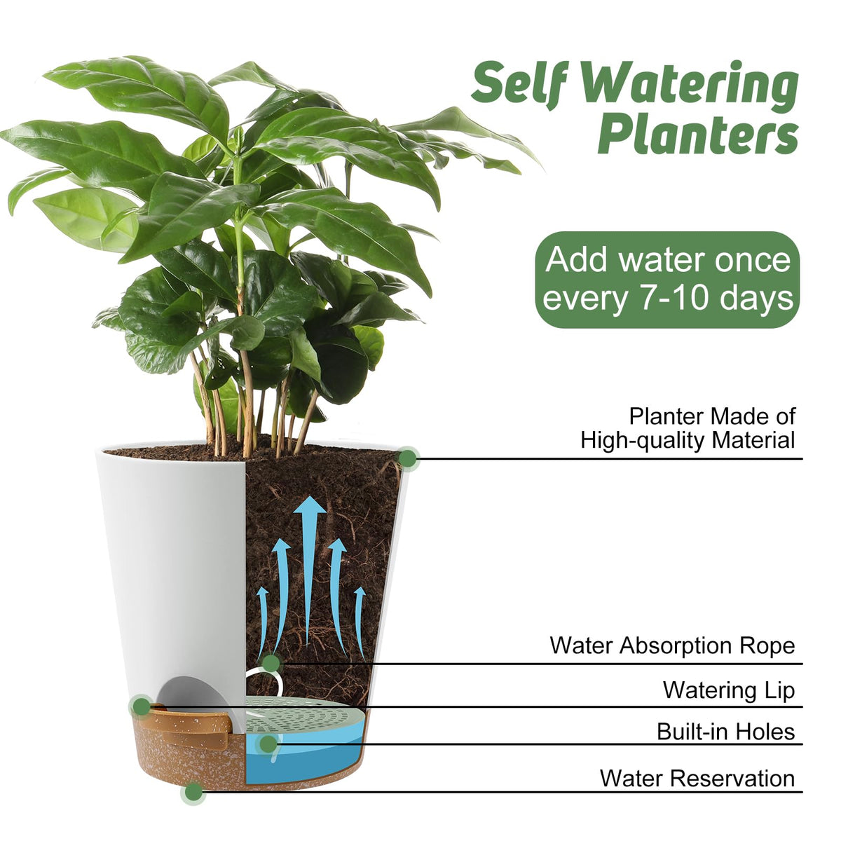 Lightweight YNNICO planter is easy to relocate around the home.