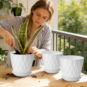 YNNICO modern minimalist planter design complements home and office spaces