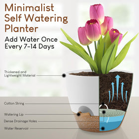 YNNICO 7.5-inch white pot features deep reservoir, great for vacation watering