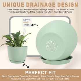 YNNICO pot with bottom watering tray catches excess water.