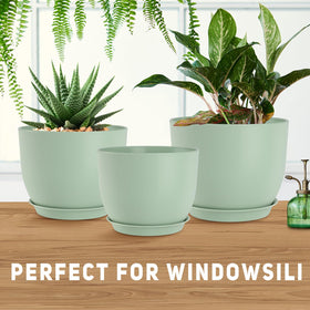 YNNICO indoor-outdoor planter ideal for windowsills and desks.