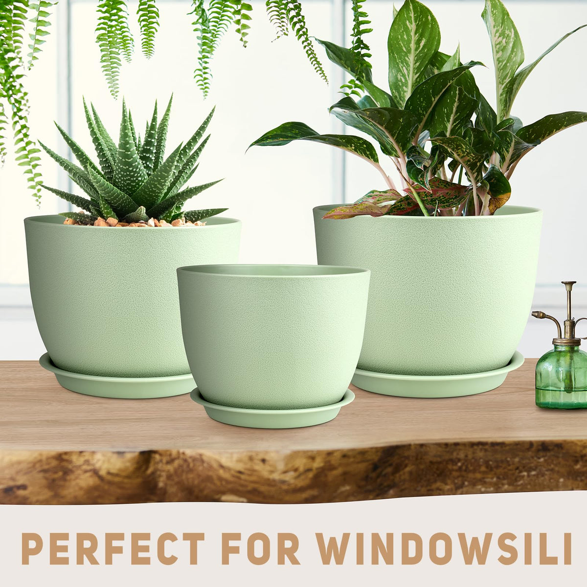 Removable tray collects excess water for clean, convenient watering