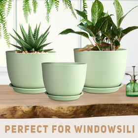 Removable tray collects excess water for clean, convenient watering