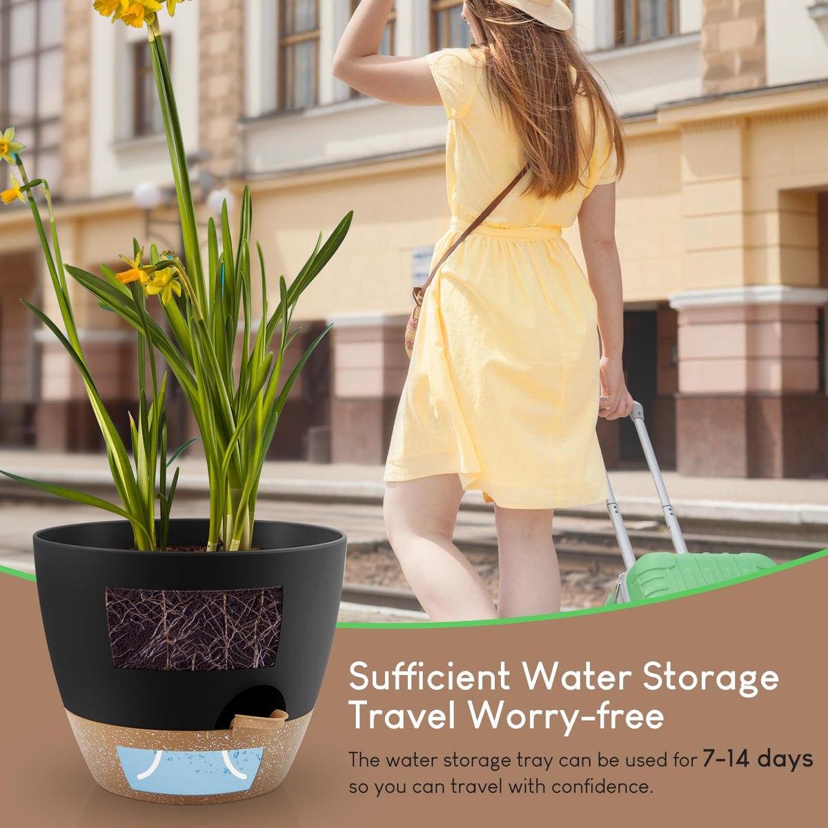 YNNICO 7-inch compact pot suitable for desks and shelves