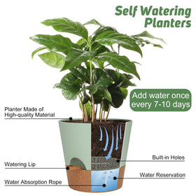 Two-pack green YNNICO planters suitable for indoors