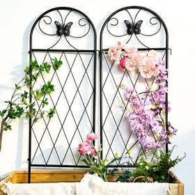 Ideal for ivy jasmine clematis and lightweight climbers with YOBAZAN.
