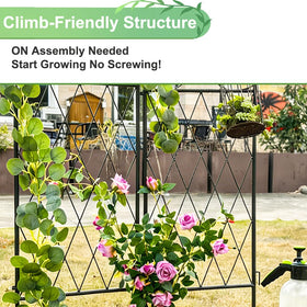 47 inch height suitable for small to medium climbers with YOBAZAN trellis.