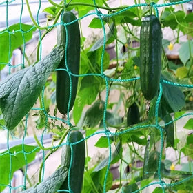 YOETSPDS garden-netting-side-view showcases robust woven texture for trellis use.