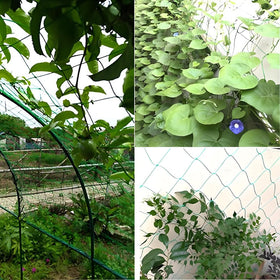 YOETSPDS trellis-netting-plant-climbing-closeup highlights strong multi-strand weave for sturdier growth.