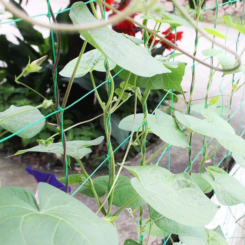 YOETSPDS trellis-netting-vertical-support adapts to balconies and greenhouses for climbing plants.