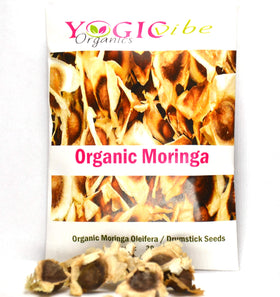 Yogicvibe Moringa seeds garden-planting promotes nutrient-rich greens from home growing.