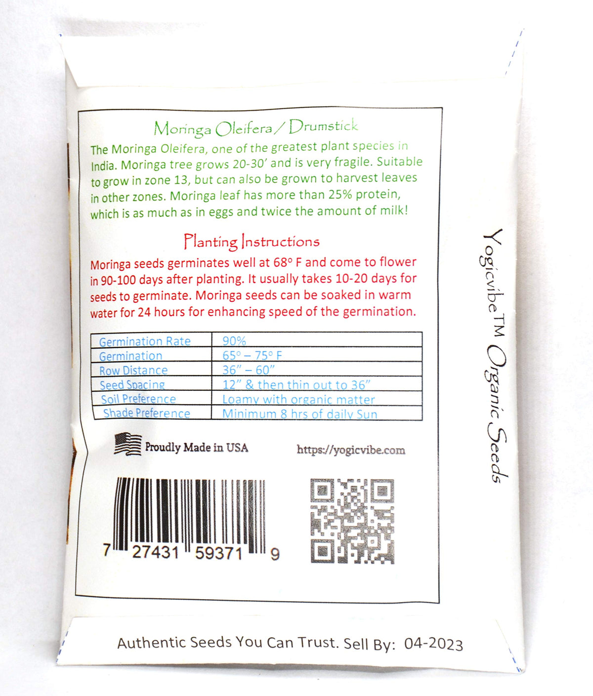 Yogicvibe Moringa seeds germination-setup shows quick sprouting for balcony gardens.