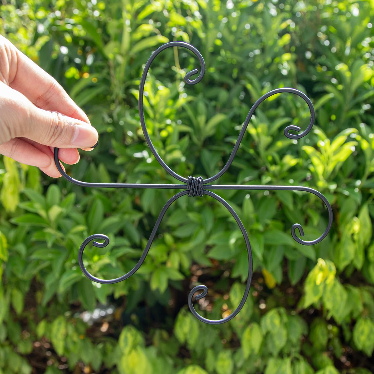 Gift-ready Yohsnor plant stem set for indoor garden lovers.