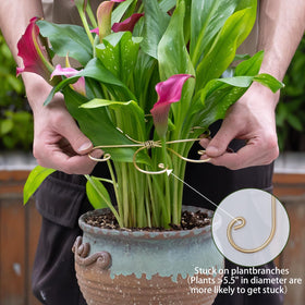 Gift-ready plant care set is a thoughtful present for indoor plant lovers