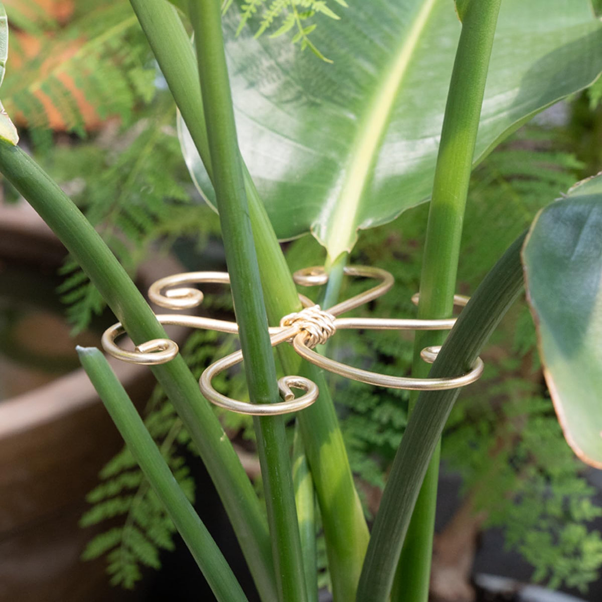 Yohsnor Monstera set enhancing indoor plant display and health.