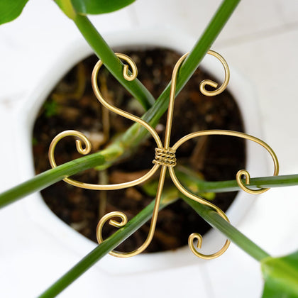 YOHSNOR Monstera hook stem-support keeps upright while blending with home décor