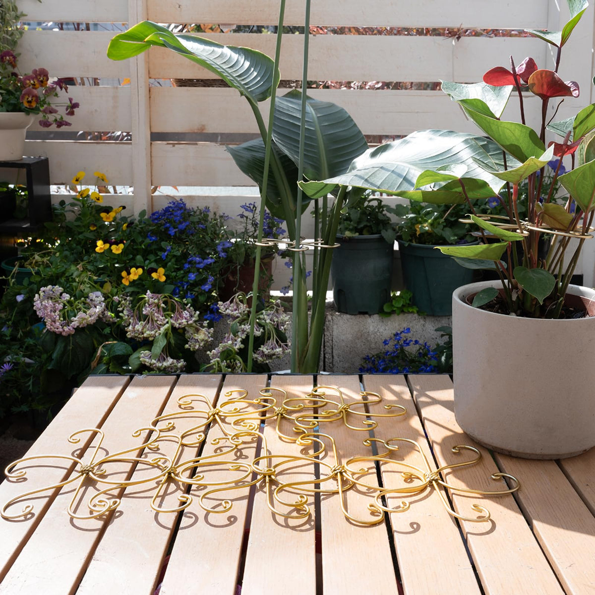 Monstera stability in action shows reliable support during growth