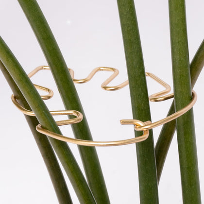 Yohsnor Monstera stem support set stabilizes climbing stems