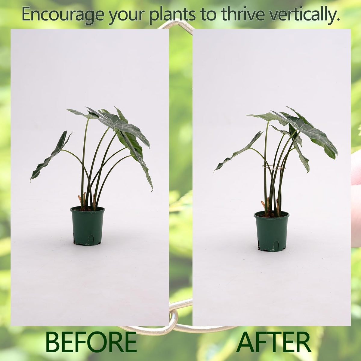 Yohsnor plant lover gift highlights practical garden upgrade