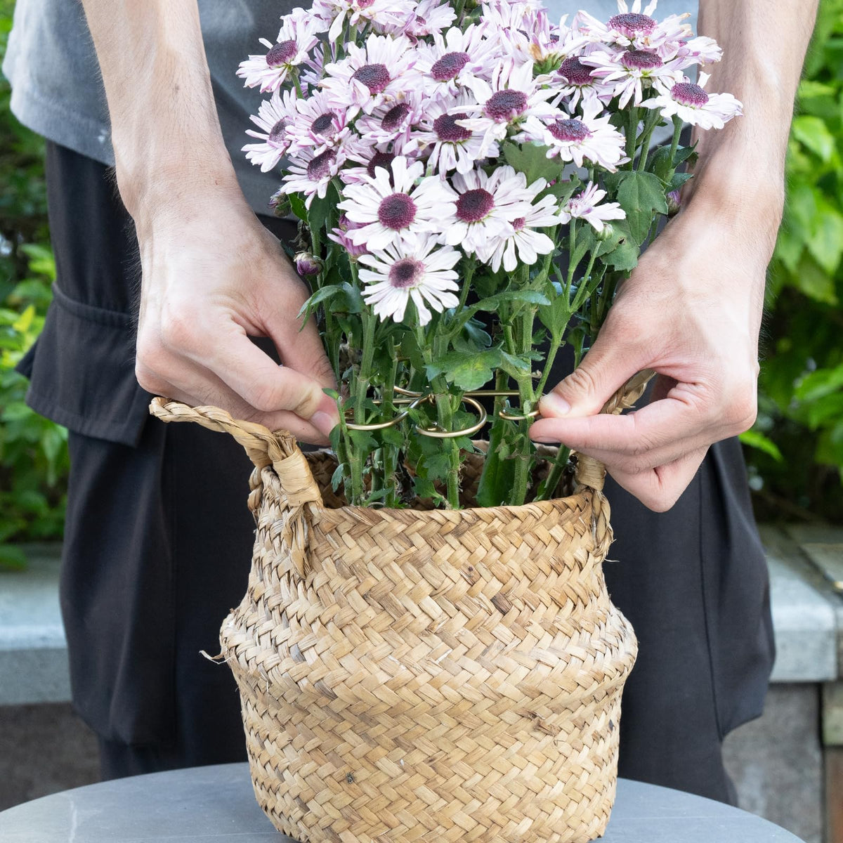 Yohsnor Monstera stabilizers prevent vines from bending.