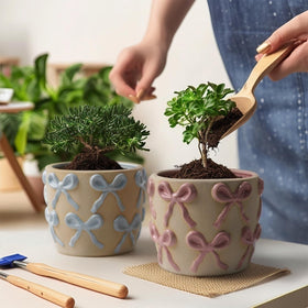 Yokiiimakiii succulent bonsai friendly ceramic planter