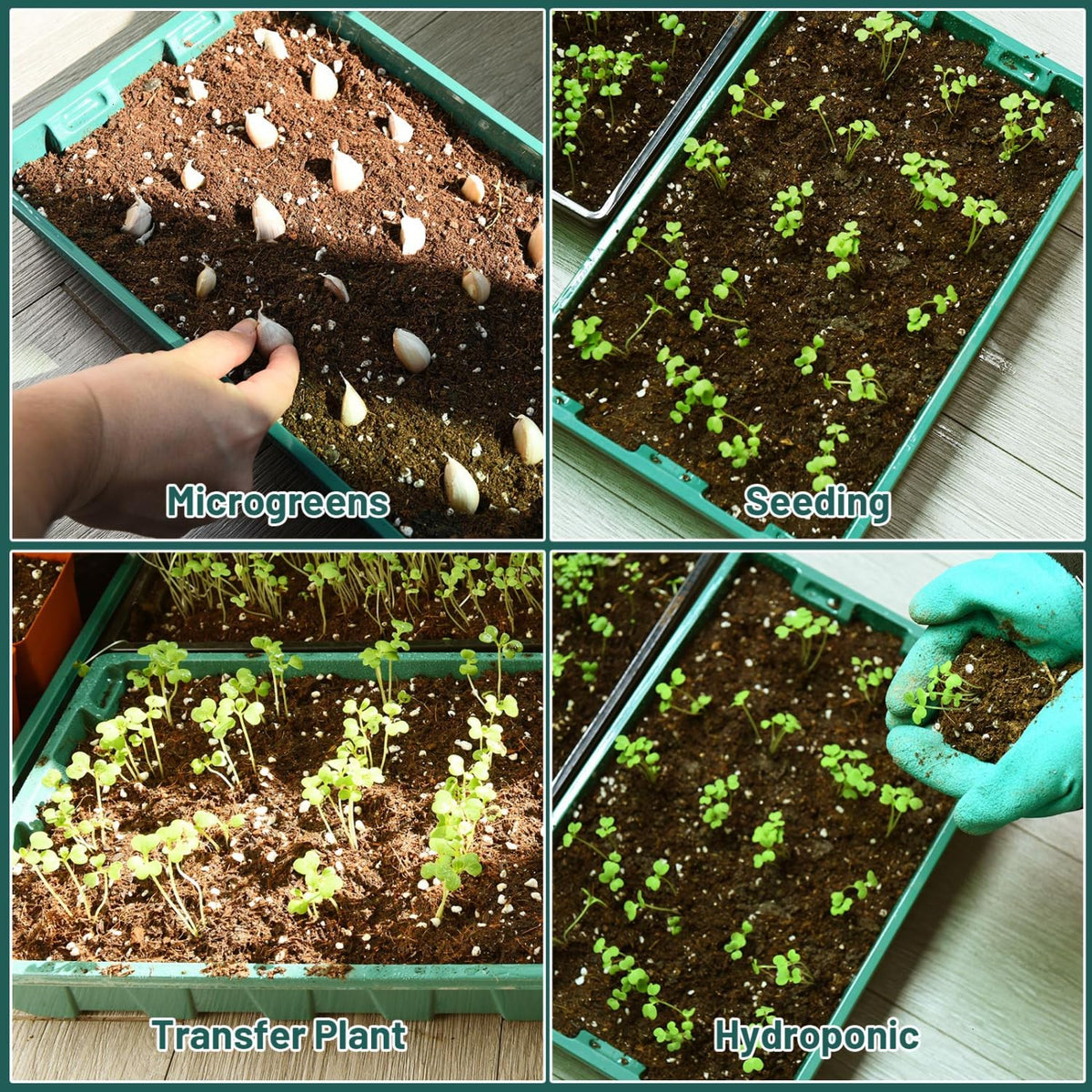YoleShy seed starting trays save watering time while keeping seedlings organized.