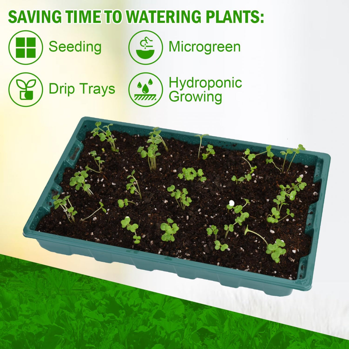 YoleShy germination tray designed for efficient indoor seed sprouting.