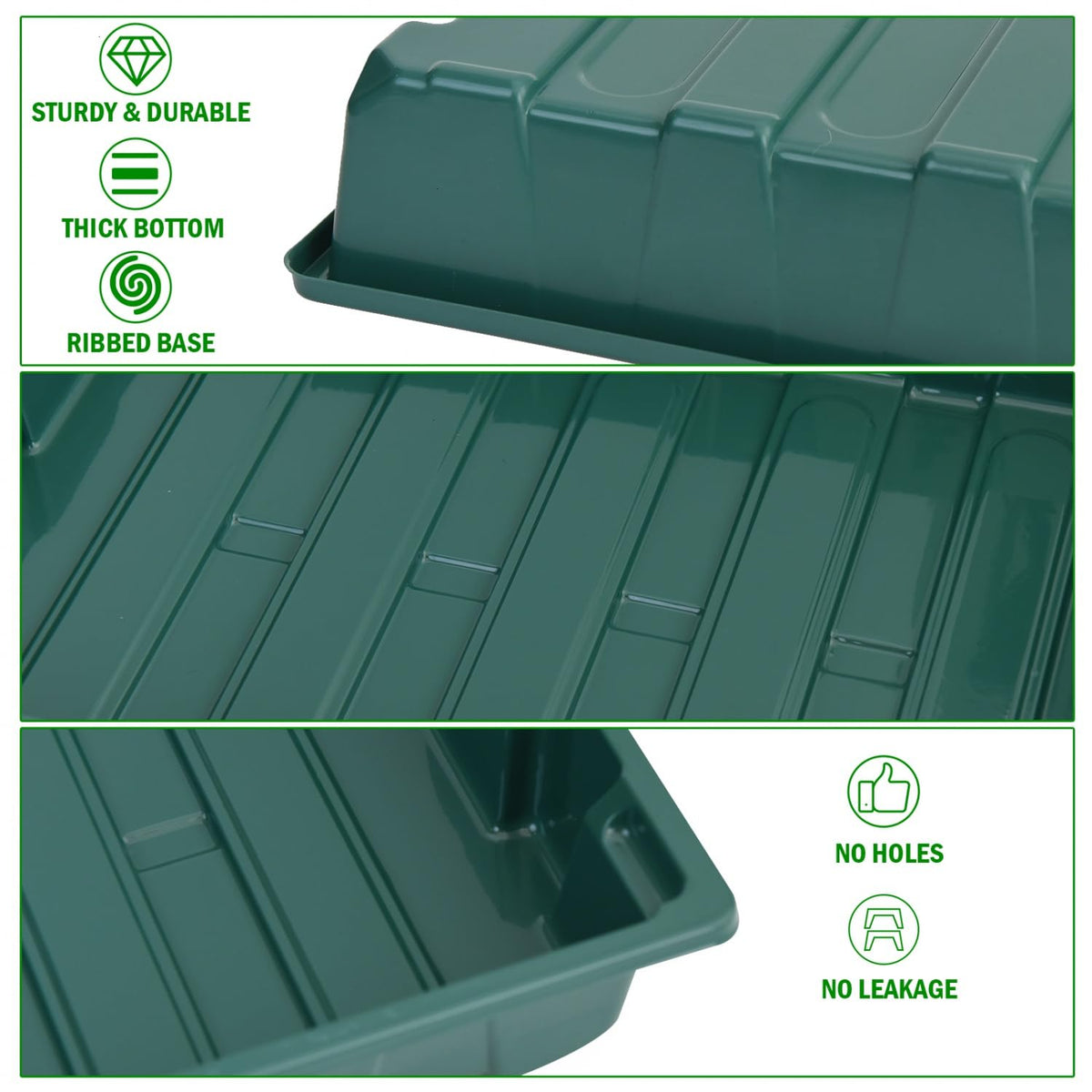 YoleShy dome lids let you monitor growth without constant lid removal.