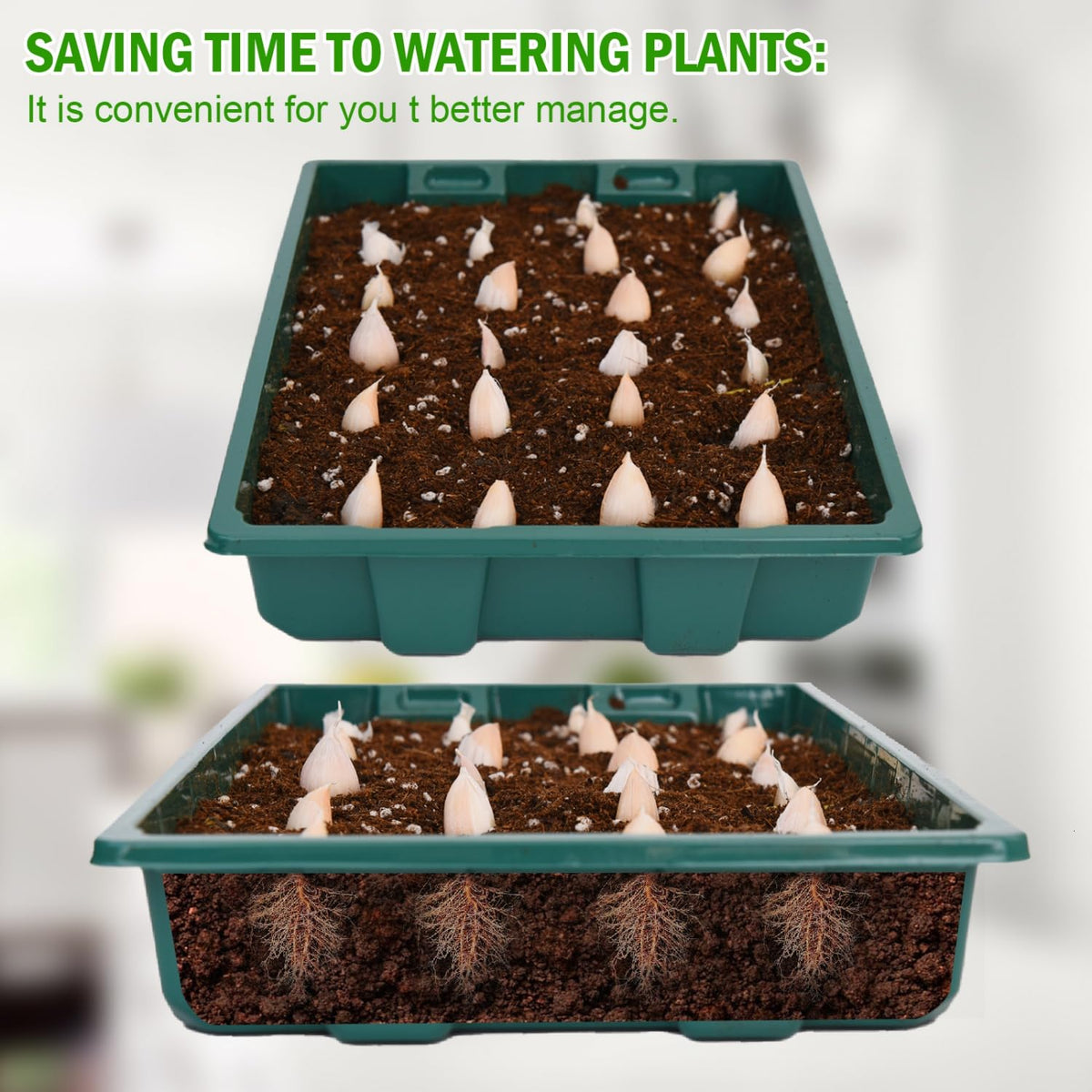 YoleShy microgreen tray reusable for quick at-home harvests.