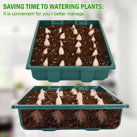YoleShy microgreen tray reusable for quick at-home harvests.