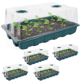 YoleShy seed starter tray with dome promotes even germination and humidity control.