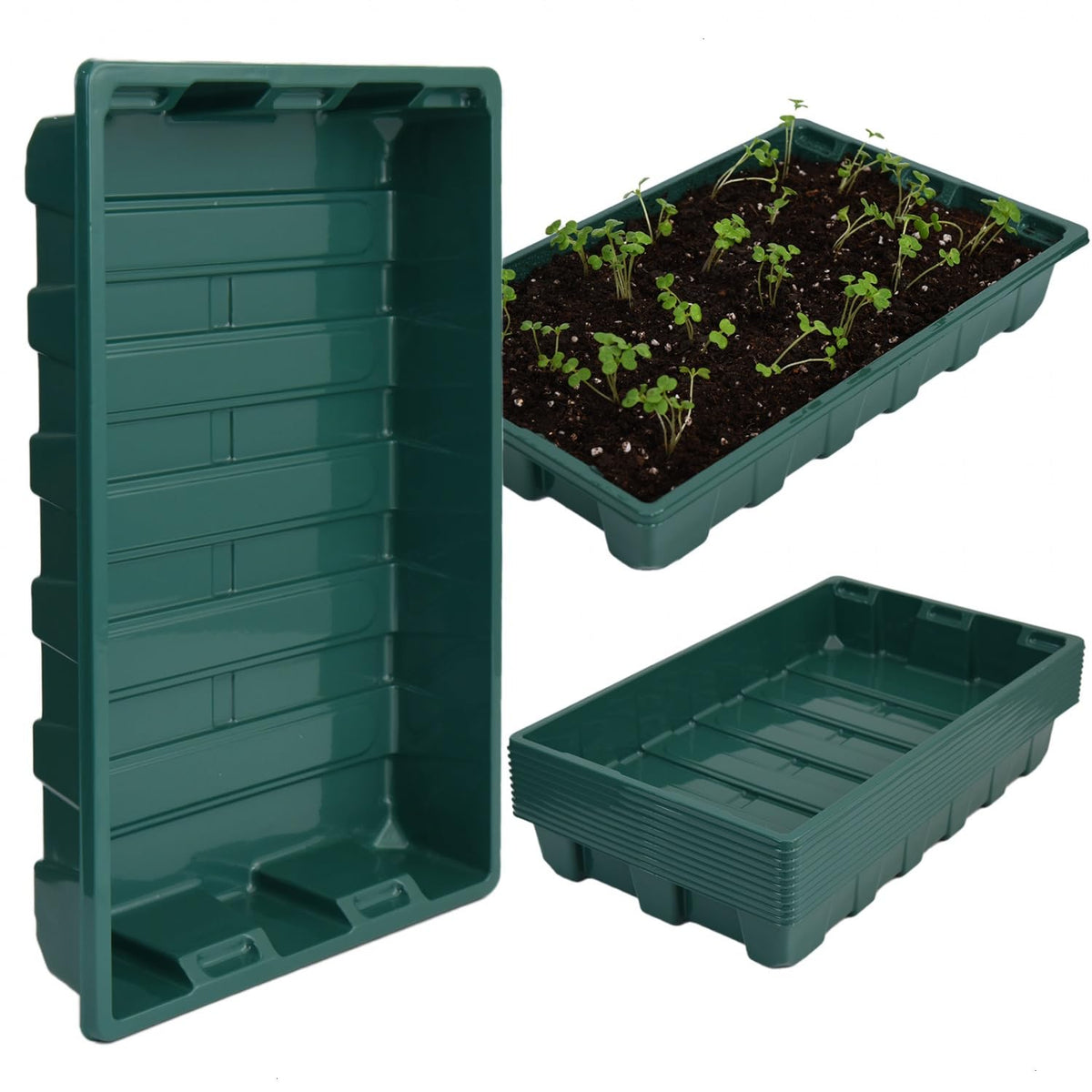 YoleShy seed-starter tray thickened for durable germination and optimized watering.