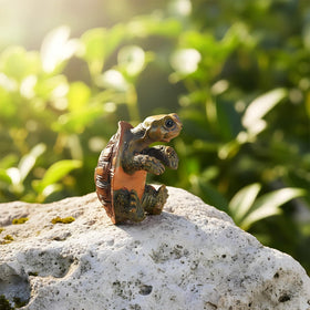 Yolev climbing turtle garden ornament adds vertical interest to fences.