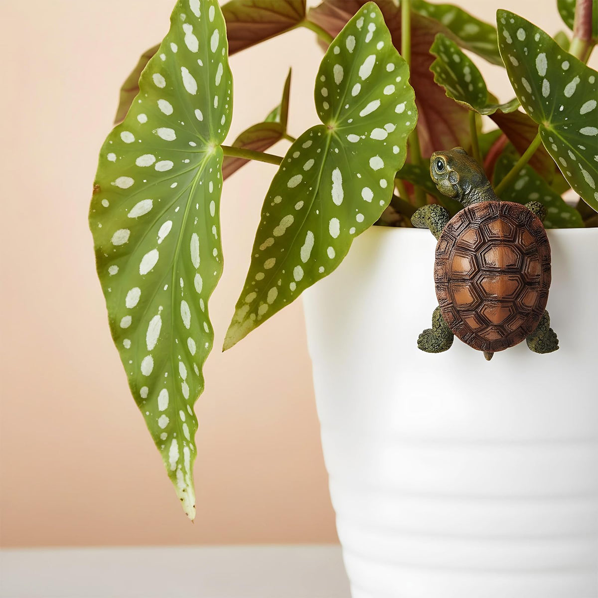 Yolev turtle ornament for balcony brings casual charm to small spaces.